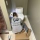 Licensed plumber performing toilet repair in Elgin IL bathroom