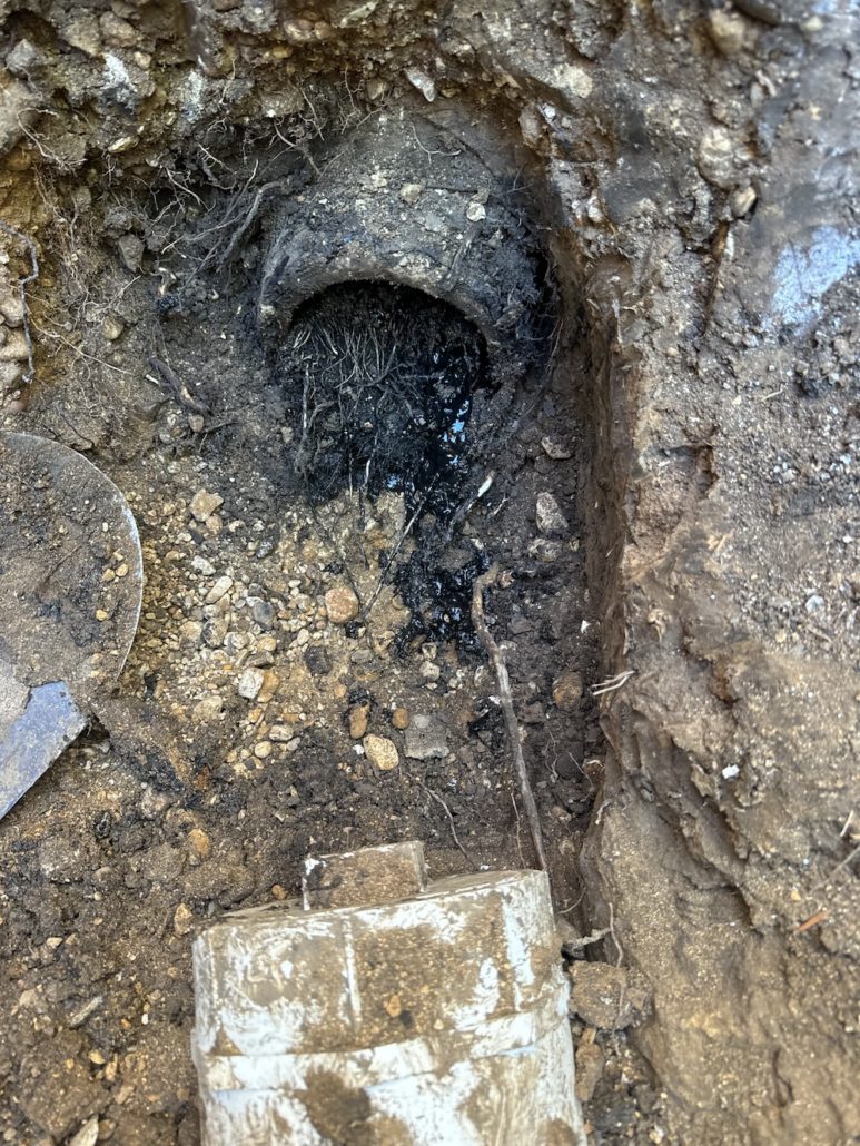 Tree root intrusion inside residential sewer line in Elgin Illinois
